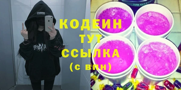 мдпв Кодинск