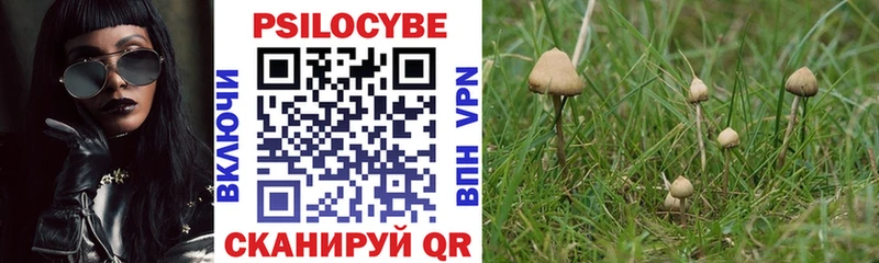 купить закладку  даркнет состав  Галлюциногенные грибы Psilocybine cubensis  Хвалынск 